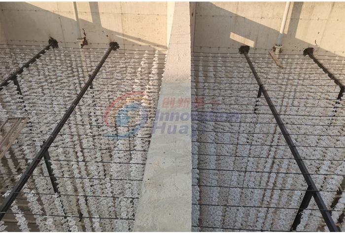 湖南日處理1000方屠宰廢水處理項目施工現場